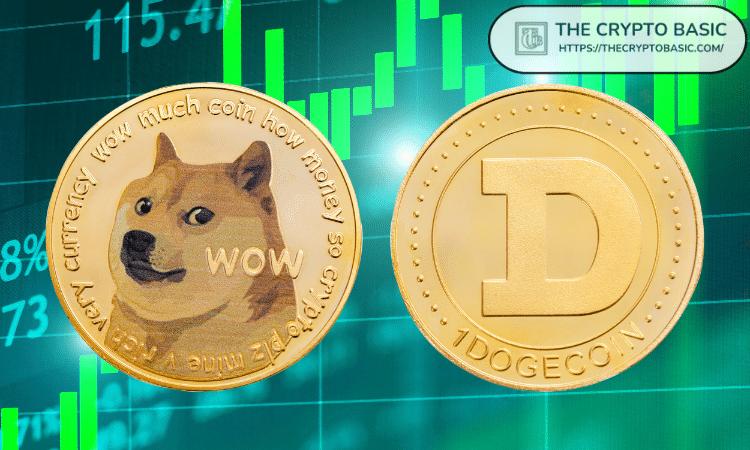 Dogecoin Bottom, Pre-Pump, and Pump Years as Weekly Candle Signals - Indicating Doge is Ready for the Next Bull Run.