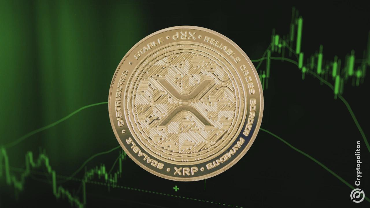 XRP看到特朗普提升后地址激增至620％